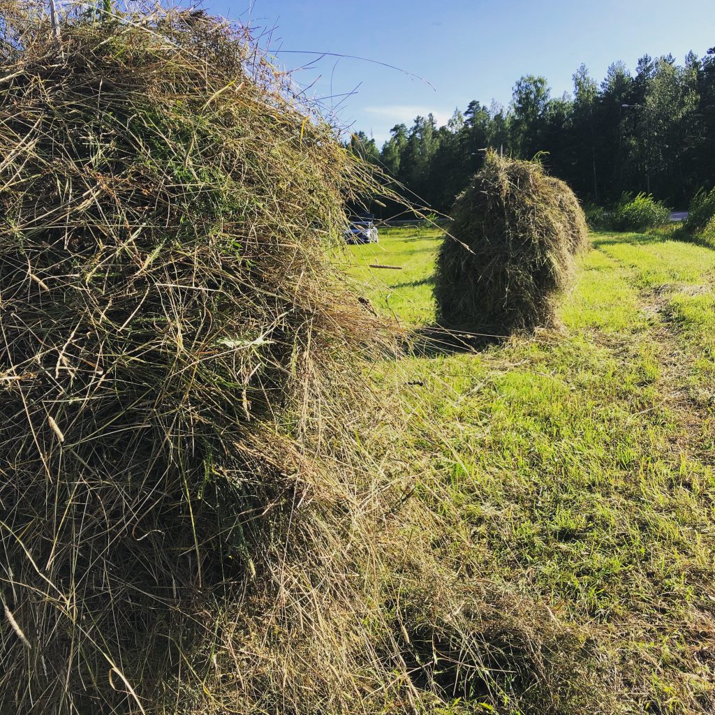 Kurkkumarkkinoiden myyjäinfo 2020